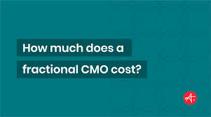 fractional cmo cost | smitindia