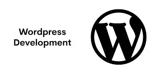 Professional WordPress Developers Rajkot