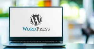 Top WordPress Services Rajkot